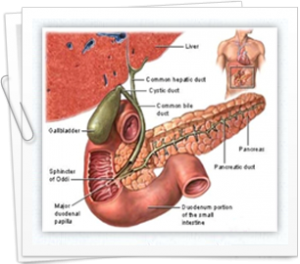 How to manage gallbladder cancer successfully