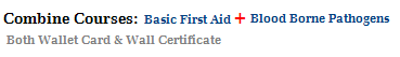 Combine Courses Basic First Aid and Bloodborne Pathogens