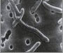 Bloodborne Pathogens Course