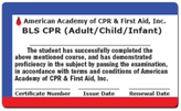 Online BLS CPR Certification