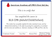Online First Aid Certification