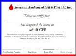 CPR Certification Price Information