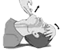 illustration of head and neck placement 
